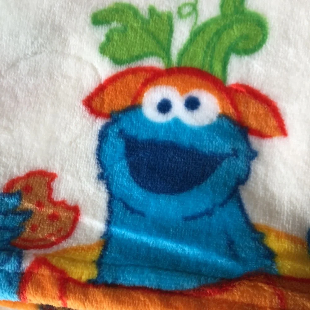 Kids Sesame Street Preschool Toddler Throw Blanket